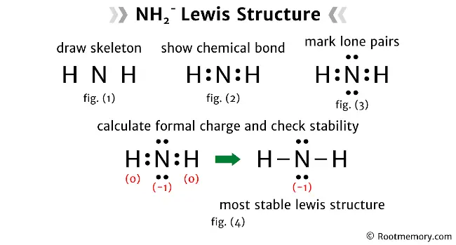 Lewis structure of NH2- Root Memory