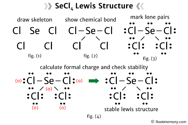Lewis structure of SeCl4 - Root Memory
