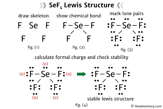 Lewis structure of SeF4
