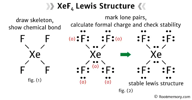 Lewis structure of XeF4