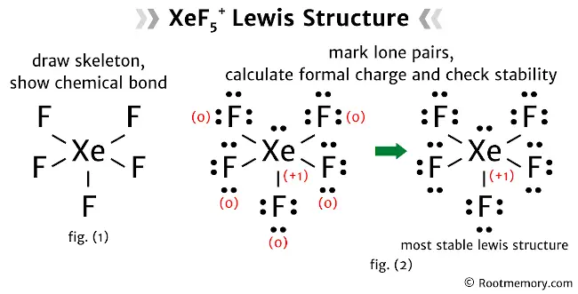 Lewis structure of XeF5+