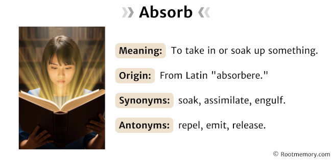 Absorb