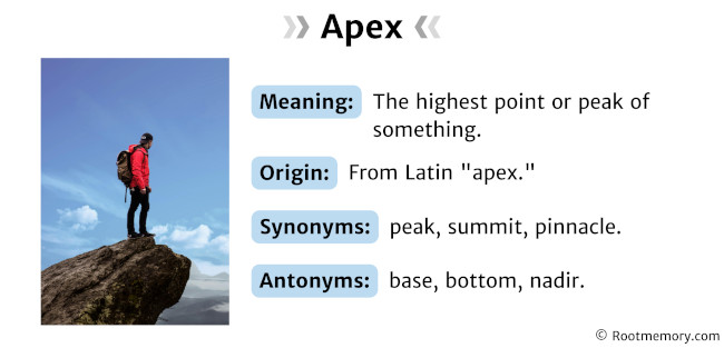 Apex