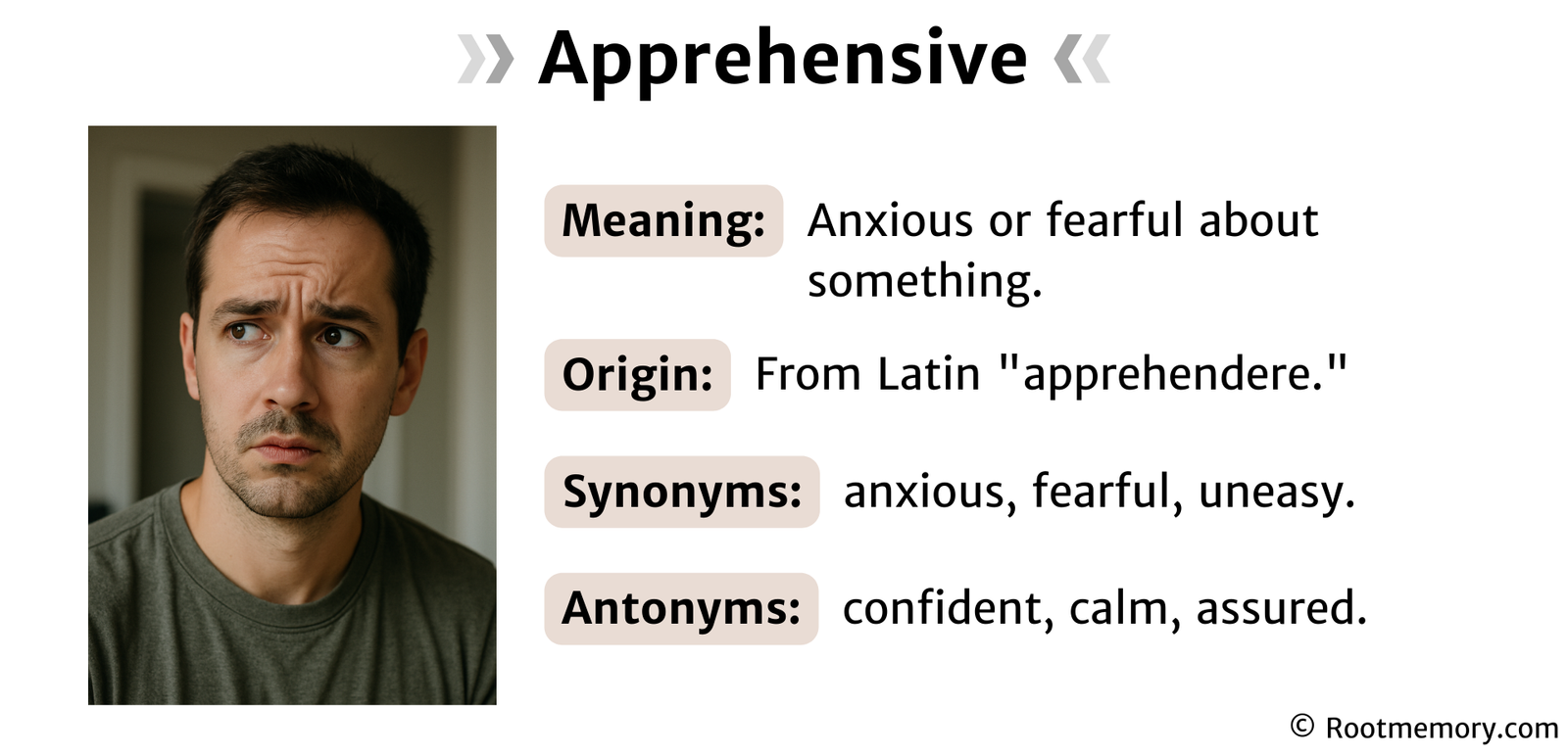Apprehensive - Root Memory