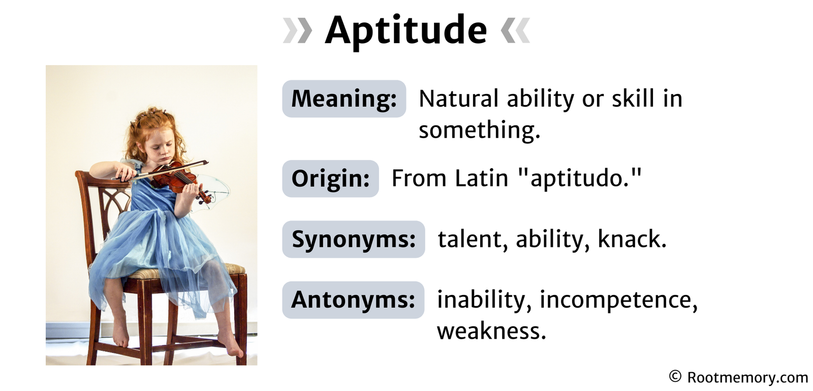 Aptitude - Root Memory
