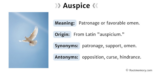 Auspice