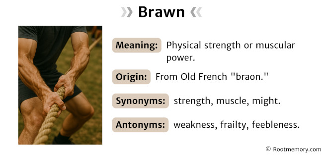 Brawn